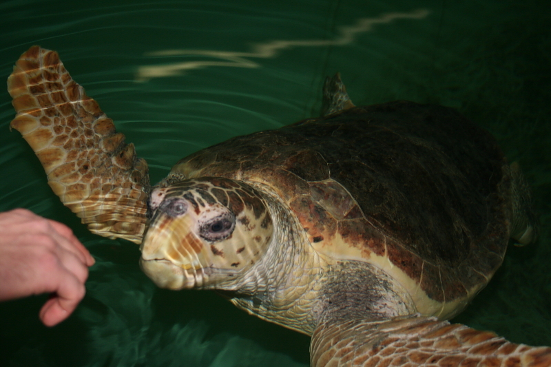 Killikus® Fotographie Killikus® Fotographie